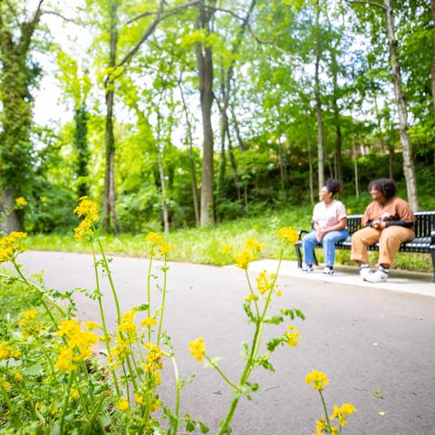 Students sitting on a bench in nature